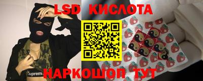 mdpv Рыбинск